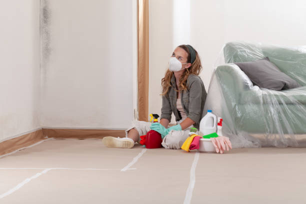Reliable Mold Inspection And Testing contractor in Grand Ledge, MI by Mold Remediation HQ
